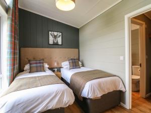 two beds in a room with green walls at Holly Lodge in Newark-on-Trent