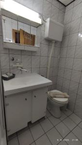 een witte badkamer met een toilet en een wastafel bij Ski lift apartman dm Brzeće in Brzeće