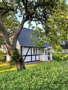 a white house with a black roof and a tree at Strandby 1847 B&B in Nykøbing Falster