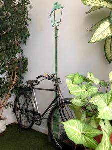 un vélo garé à côté d'un pôle lumineux dans l'établissement Living Lounge Hostel, à Lisbonne