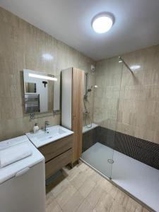 een badkamer met een wastafel en een douche bij Le Joan Miro - 100m des thermes in Vichy