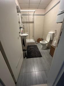 a bathroom with a toilet and a shower and a sink at Studio apartman Luce self CHECK IN in Osijek