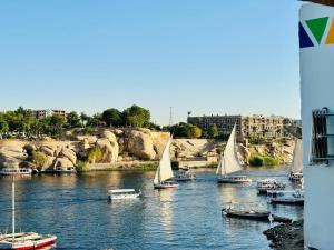 a group of boats floating on a river at Bakar Nubian Guest House in Aswan