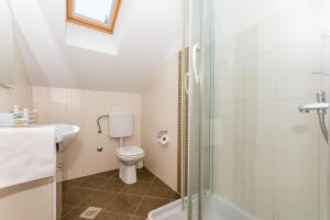 a bathroom with a shower and a toilet and a sink at Apartments Dadic in Cavtat +31 photos
