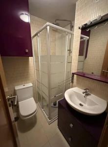a bathroom with a shower and a toilet and a sink at Piso con jardín en Liencres in Liencres