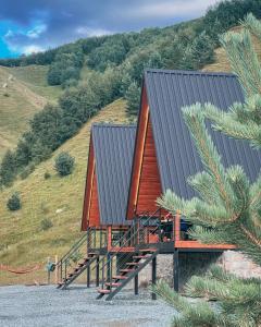 a small wooden cabin with a metal roof at Gagma chalets in Kazbegi