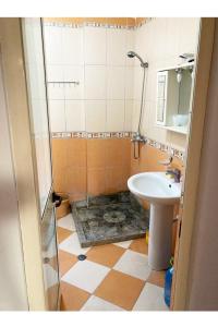 uma pequena casa de banho com um lavatório e um chuveiro em Armand’s apartament em Golem