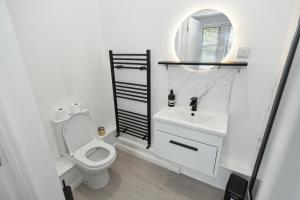 a bathroom with a toilet and a sink and a mirror at Modern Watford Urban Luxury Oasis in Leavesden Green