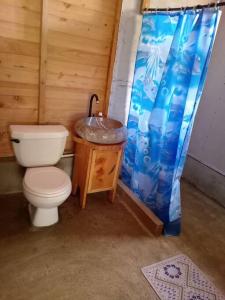 a bathroom with a toilet and a sink at Cabaña Paraíso Verde in Providencia