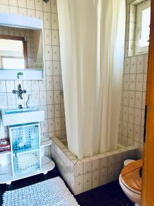 y baño con ducha, aseo y lavamanos. en Felsenberg - CharmingStay, en Flumserberg