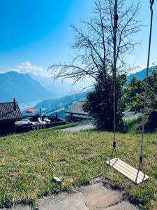 un columpio en la hierba junto a un árbol en Felsenberg - CharmingStay, en Flumserberg