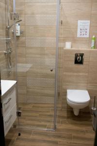 a bathroom with a toilet and a glass shower at Pinkó Vendégház in Noszvaj +12 photos