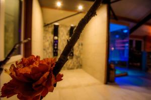 Foto sihtkohas Angerlo asuva majutusasutuse B&B en Wellness de Waalhoeve galeriist