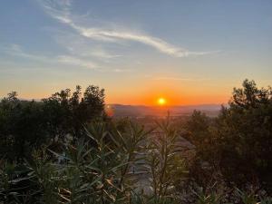 Naturlandskabet i nærheden af feriehuset + 31 billeder