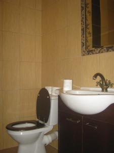 ツァルナ・グラにあるSłoneczny Apartamentのバスルーム(トイレ、洗面台付)