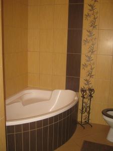 uma banheira na casa de banho com WC em Słoneczny Apartament em Czarna Góra