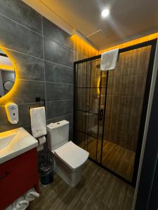 a bathroom with a toilet and a shower at Viv City Hotel in Istanbul