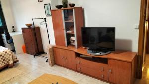 TV en un armario de madera en la sala de estar. en Miniloft en la playa, en Alicante