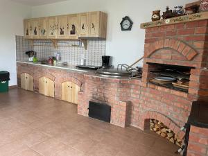 a kitchen with a brick oven in a room at Casa Piscul Verde Vladeni in Vlădeni