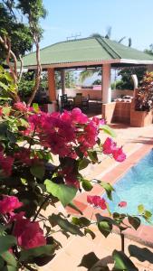 un ramo de flores rosas junto a una piscina en Tropical House Club BnB and Events, Salgar, Puerto Colombia, en Puerto Colombia