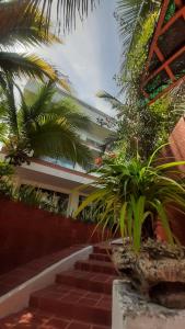 un grupo de palmeras y escaleras en un edificio en Tropical House Club BnB and Events, Salgar, Puerto Colombia, en Puerto Colombia