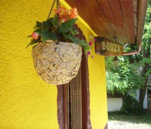 um cesto de flores pendurado numa parede amarela em Apartment Bodza em Tompa