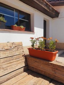 a pair of potted plants sitting on a window sill at Aime in Esquel