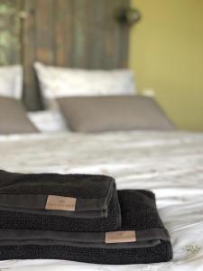 duas toalhas sentadas em cima de uma cama em The Cat and The Owl B&B em Groenlo