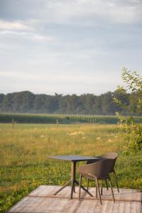 Příroda nedaleko bed and breakfast