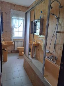 a bathroom with a shower and a sink and a toilet at Casa Ares in Cee