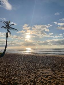 a palm tree on a sandy beach with the ocean at Casa 2 quartos praia de Jacaraípe. in Serra