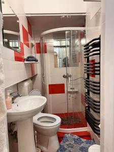 a bathroom with a shower and a toilet and a sink at Apartament Simon Brasov in Braşov