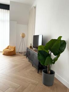 uma sala de estar com um vaso de plantas e uma televisão em Cocon d'Alsace em Colmar