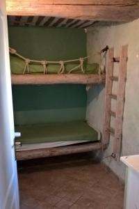 two bunk beds in a room with green walls at Gîte La Charlette in Cheval-Blanc