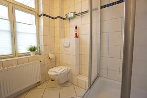 a bathroom with a toilet and a shower at Villa Bellevue in Ahlbeck