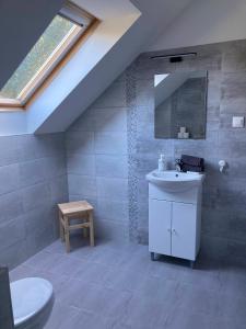 a bathroom with a sink and a mirror and a toilet at Mezriczky Malom Kapolcs in Kapolcs