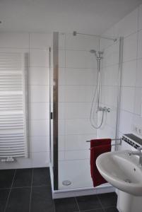 La salle de bains est pourvue d'une douche et d'un lavabo. dans l'établissement Ferienhaus Rauwolf, à Roschbach