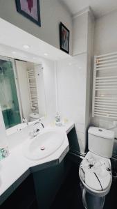 bagno con servizi igienici, lavandino e specchio di Chambres d'hôtes Andrea a Brive-la-Gaillarde