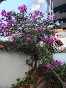 un bonsái con flores púrpuras en la pared en Casa Central a 4 cuadras de la Plaza en Villa de Leyva