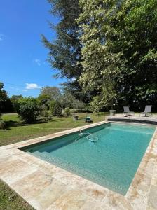 una gran piscina en un patio con árboles en Suite près de Chambord, en Saint Laurent Nouan