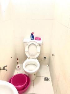a bathroom with a toilet and a pink bowl at Chillhaushomes in Mombasa
