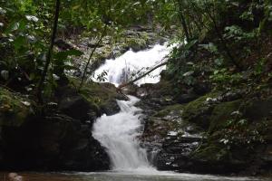 una cascada en la selva en el camino en Brisa de la montaña:Cabaña con vista al bosque de Platanillo y al mar, en Platanillo