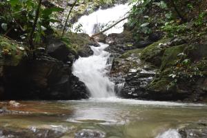una cascada en medio de un río en Brisa de la montaña:Cabaña con vista al bosque de Platanillo y al mar, en Platanillo