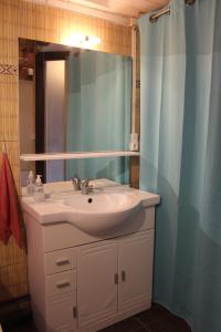 a bathroom with a sink and a mirror at Maisonnette avec piscine près de la gare Part Dieu in Villeurbanne