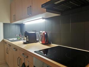 Charmant appartement à 1 minute du lac的厨房或小厨房