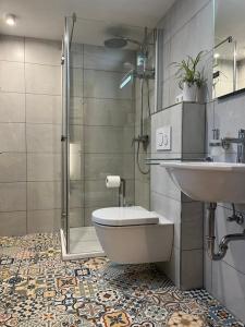 a bathroom with a shower and a toilet and a sink at Ferienhaus „Casa Lore“ in Frankenheim