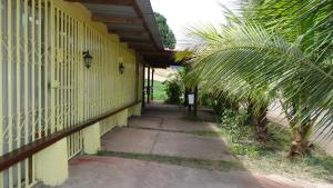 a hallway of a yellow building with a palm tree at TSANKARA in Oiapoque