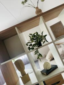 a room with a shelf with a plant on it at Golden joy in Sarajevo