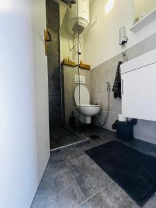 a bathroom with a shower with a toilet in it at Golden joy in Sarajevo