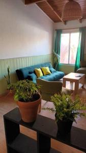 a living room with a blue couch and potted plants at Mi casa, tu casa. Entre Plottier y Neuquen. in Neuquén